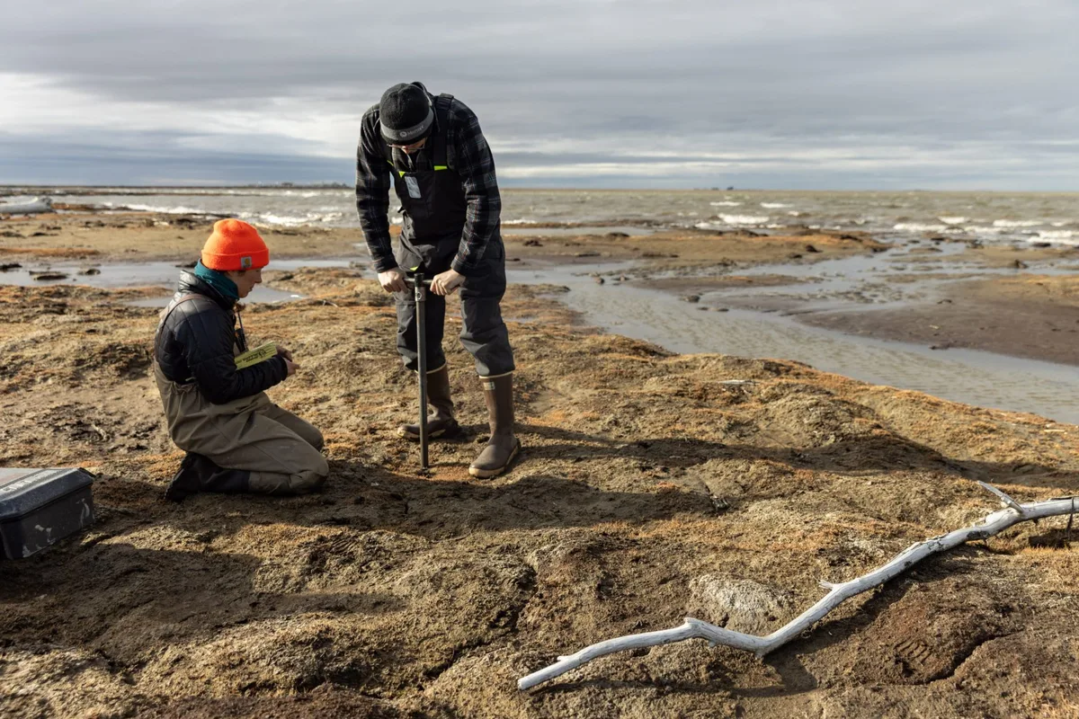 Scientists are using AI to track permafrost thaw as Arctic lakes vanish in hours