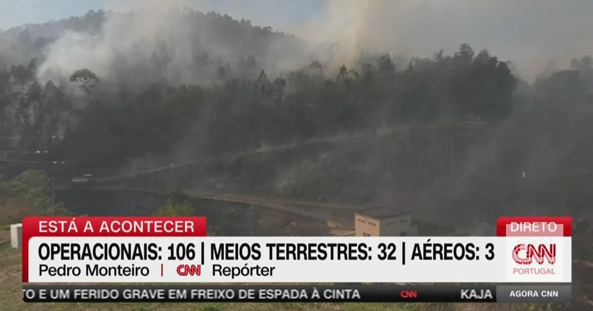 Fogo ameaça habitações em Vieira do Minho. Meios aéreos evitam o pior