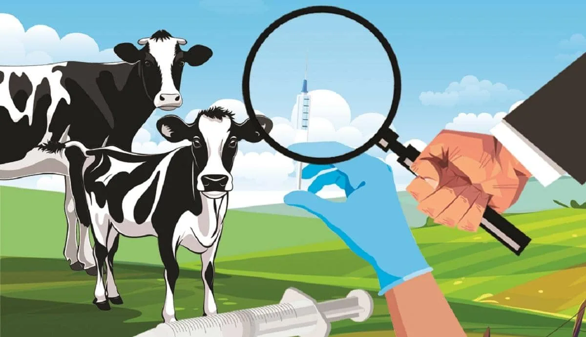 Centre plans ban on import, sale of two antibiotics for animal use in India