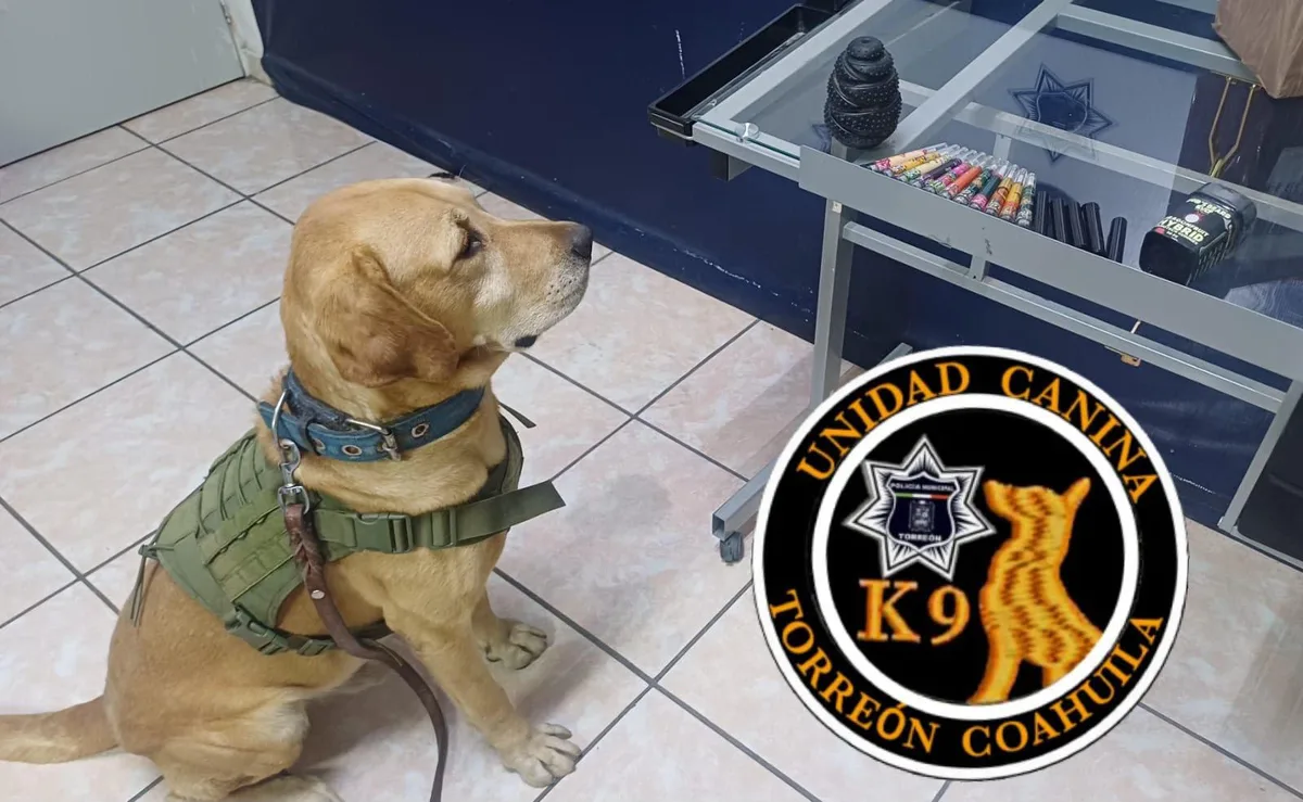 Más binomios caninos rastrearán droga en paqueterías de Torreón, anuncia Riquelme