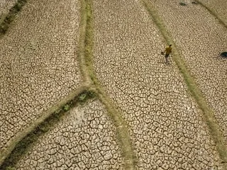 « Une course contre la montre » : l’ONU anticipe un El Niño « de très forte intensité » jusqu’en février 2027