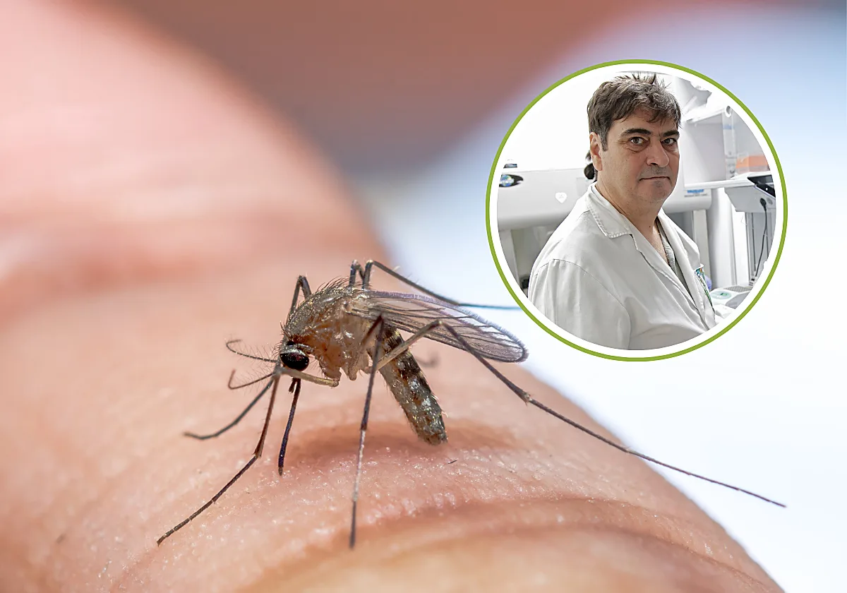 Jordi Figuerola, biólogo: «Hay una circulación del virus del Nilo mucho más importante que en 2025»