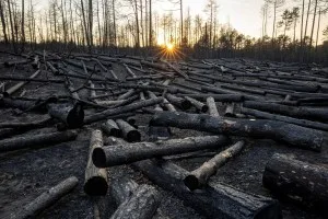 Briga entre países trava novo raio-X do clima às vésperas de decisões cruciais