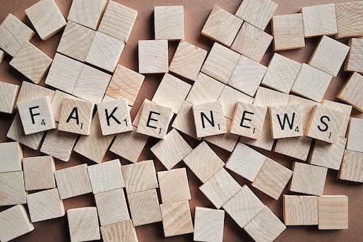 ANDILE TSHONA| When fake news becomes a threat to social security