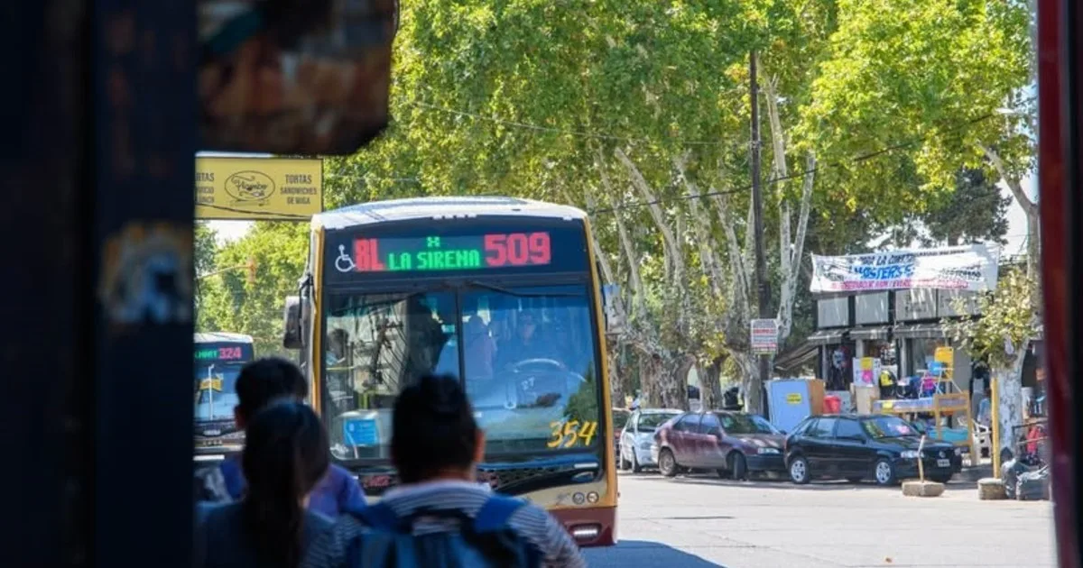 Subte, trenes, colectivos, bancos y escuelas: así funcionan los servicios este lunes 17 de agosto