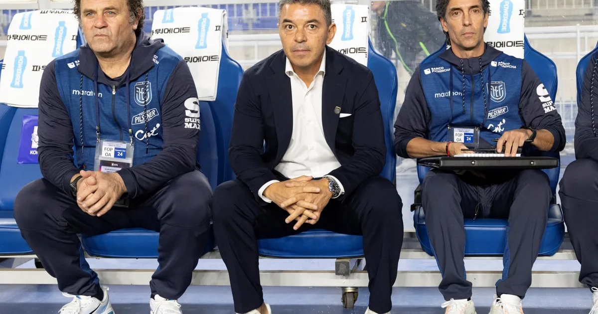 Ya están definidos los rivales del Ecuador de Gallardo para la Fecha FIFA de noviembre