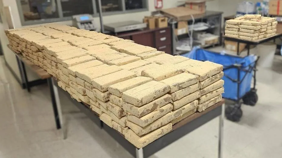 CBP officers seize $67 million in illegal drugs at San Diego border ports, DHS says