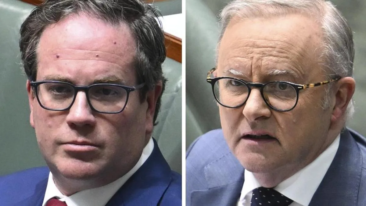 Anthony Albanese forced to step in as Veteran Minister faces fresh fire