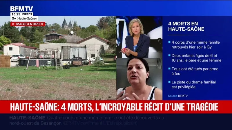 Violences vicariantes: "L'infanticide est l'ultime violence, mais il peut y avoir avant des mesures de contrôle, de domination à travers les enfants", explique Hauteclair Dessertine, de l'Union nationale des familles de féminicides