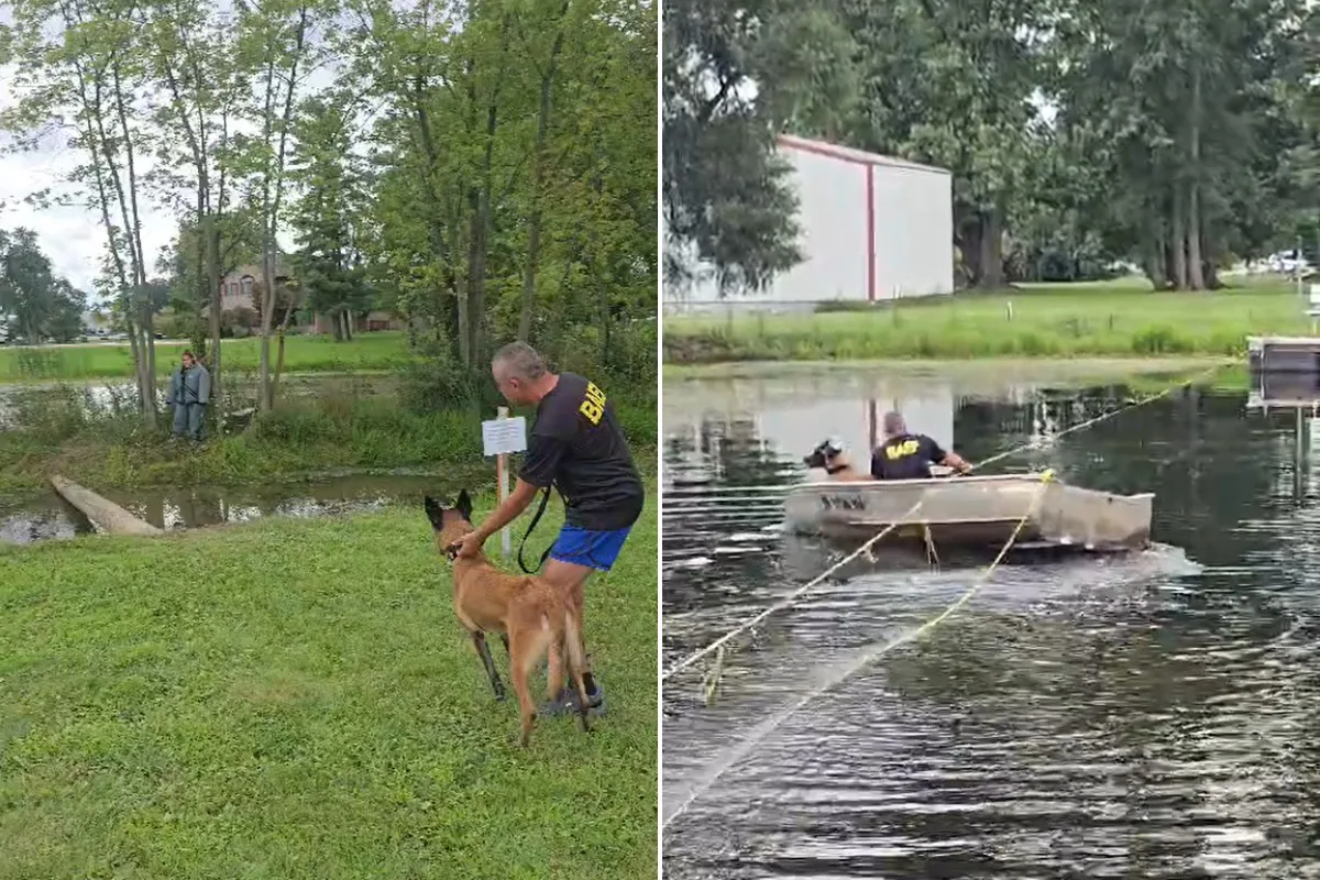 K9 Kira e policial do interior de SP vencem prova mais complexa de competição de cães nos EUA