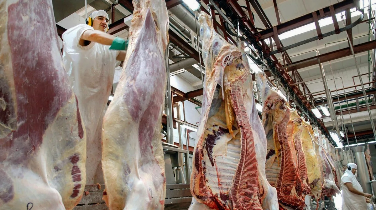 Entidades del Mercosur buscan destrabar el reparto de la cuota de carne con la Unión Europea