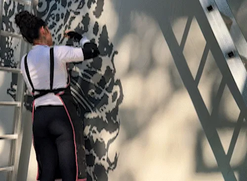 Artista pantaneira leva onça-pintada para mural de 30 metros