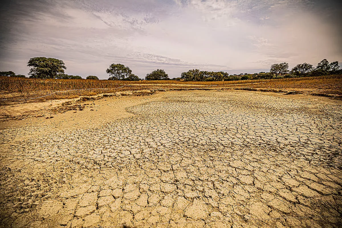 "Super El Niño" deverá matar mais de 450 mil pessoas nos próximos seis meses