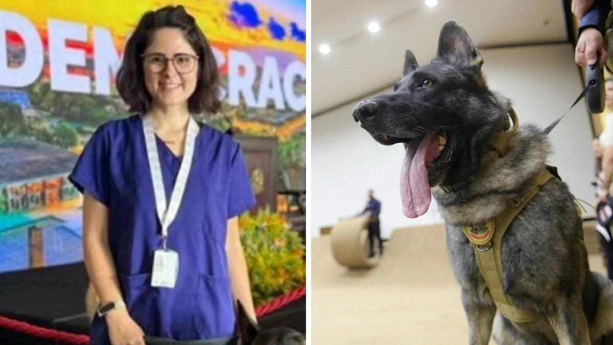 Instituto do DF atualiza estado de saúde de veterinária mordida no pescoço por cachorro no Senado Federal