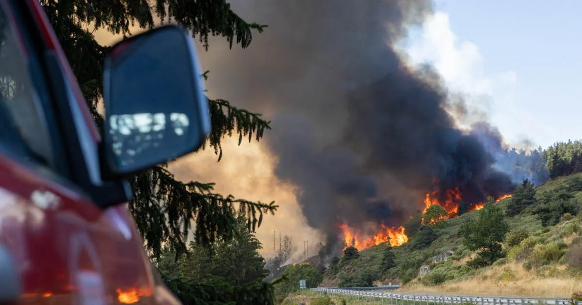 Climat. Canicule et incendies : l’est de la France encore durement touché ce dimanche