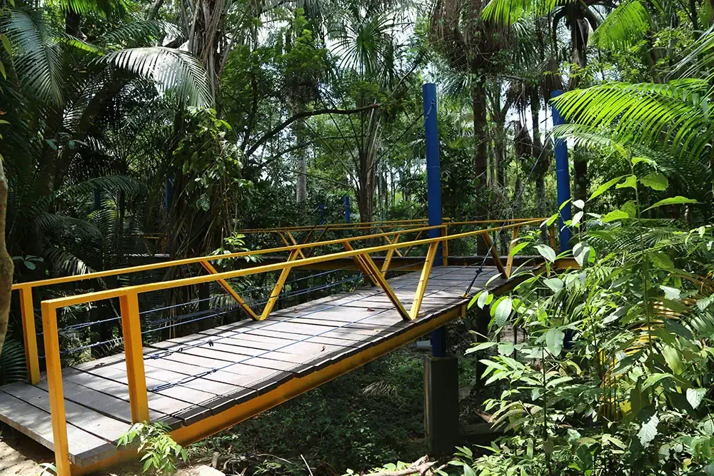 Manaus sufocada pela poluição: prefeitura suspende parques e eventos ao ar livre