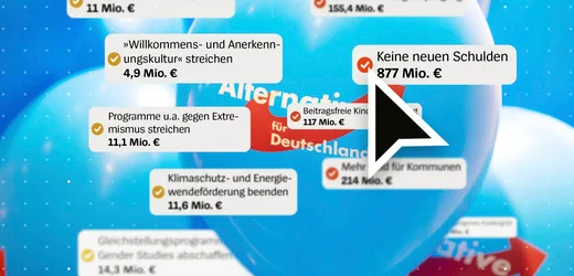 AfD in Sachsen-Anhalt: Welche Löcher die Partei in den Haushalt reißen würde