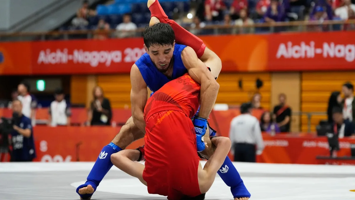 Mixed martial arts -- without the wire cage and the blood -- bids to make the Olympics