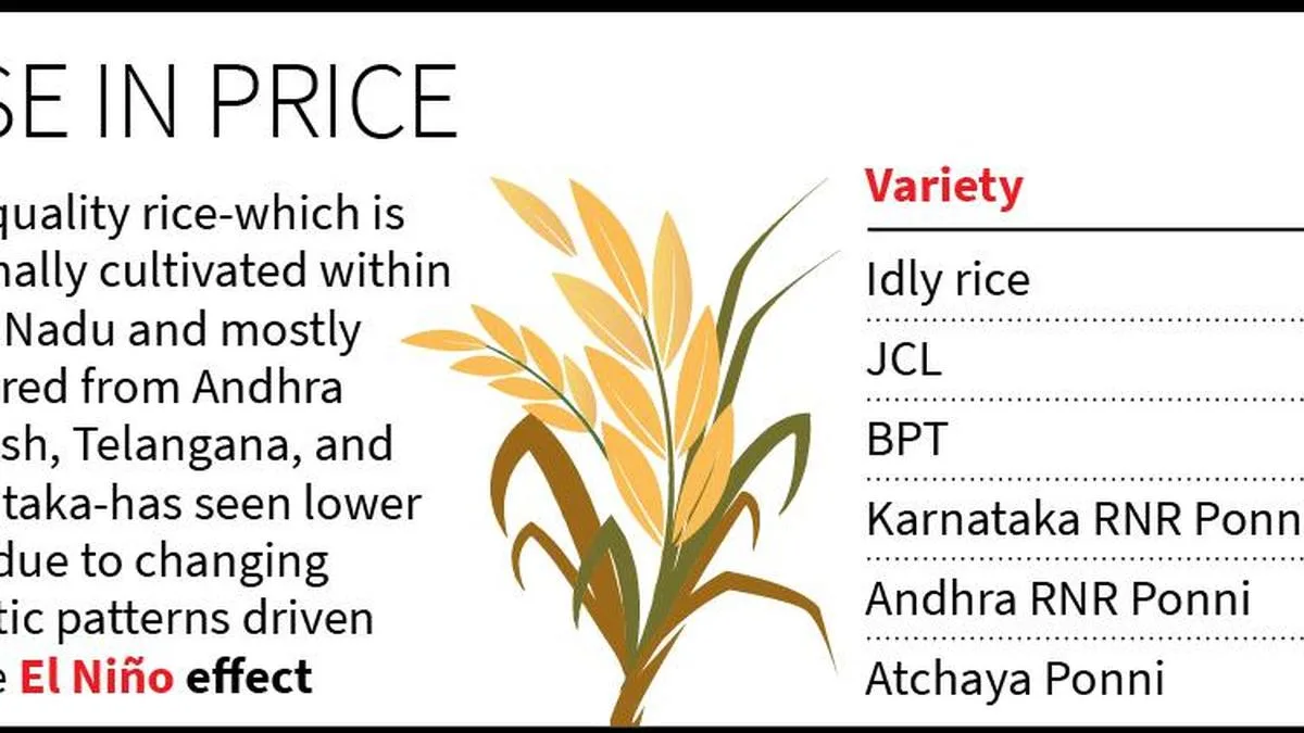 Tamil Nadu rice mill owners urge public not to resort to panic buying amid shortage rumours