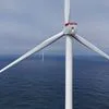 Zero defende prioridade à eólica "offshore" no novo cais do Porto de Sines