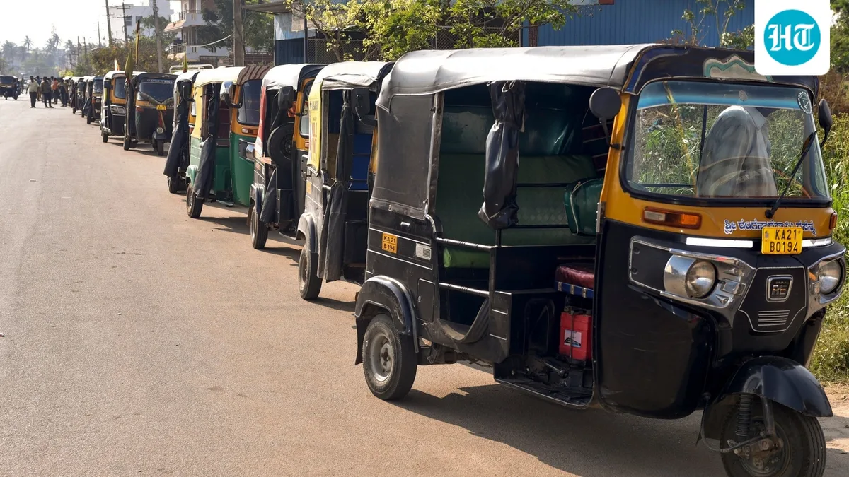 3 American tourists lose bags in Kerala auto, get them back 3 days later