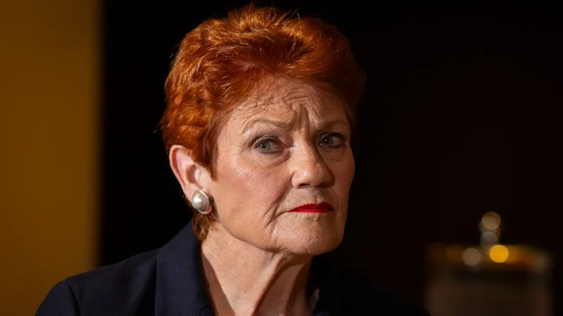 One Nation lodges three years of overdue financial documents after warning