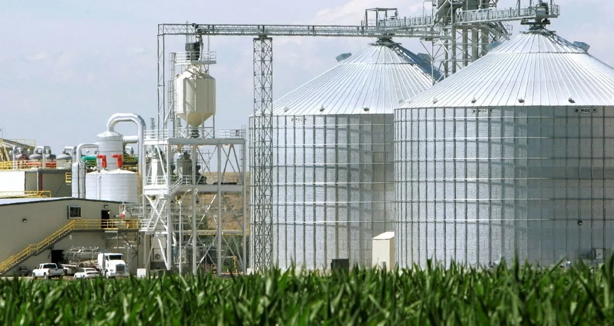 Suspensão de acordo em MT gera incerteza em investimentos de R$ 10 bilhões para produção de eucalipto