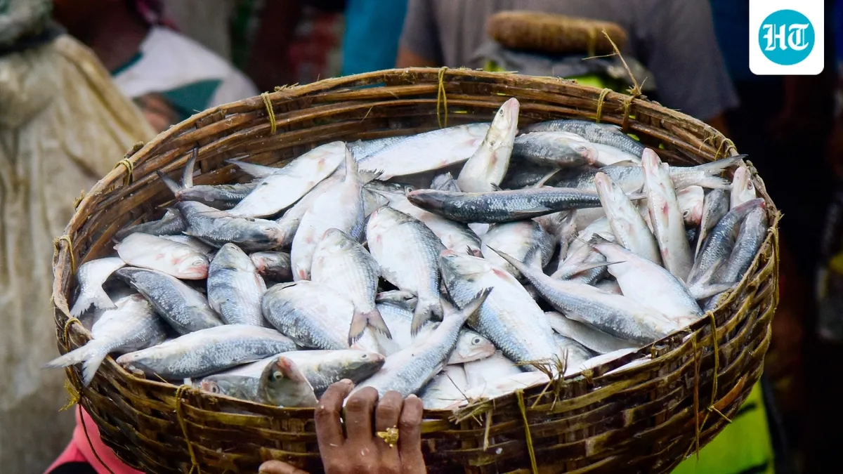 ‘Don’t eat, buy or sell fish caught in Nepal floodwaters': Bihar warns citizens