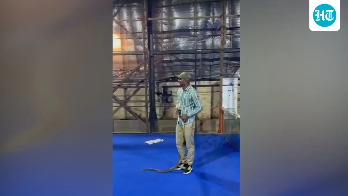 Snake found at Shahrukh Khan's residence in Mumbai, rescued