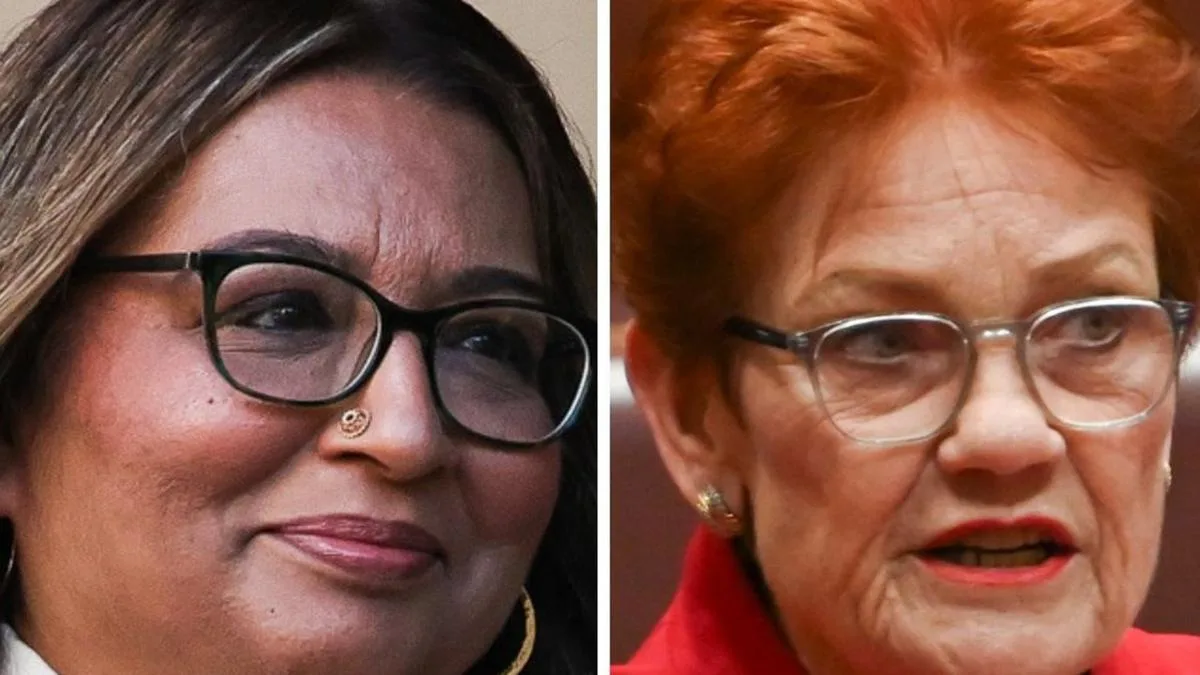 One Nation leader to challenge racial discrimination law in High Court