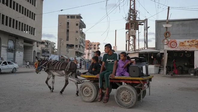 Donkey prices in Gaza skyrocket from $US1000 to $US30,000