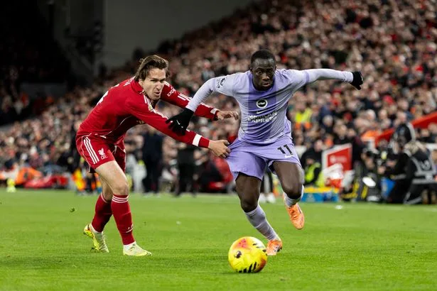 Liverpool learn Yankuba Minteh price tag after Brighton reject second transfer bid