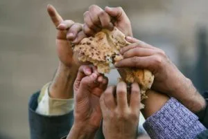 Esta es la causa principal del hambre en el mundo hoy en día