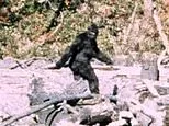 Bigfoot sightings across 14 US states reveal an eerie pattern sparking claims a creature is hiding nearby