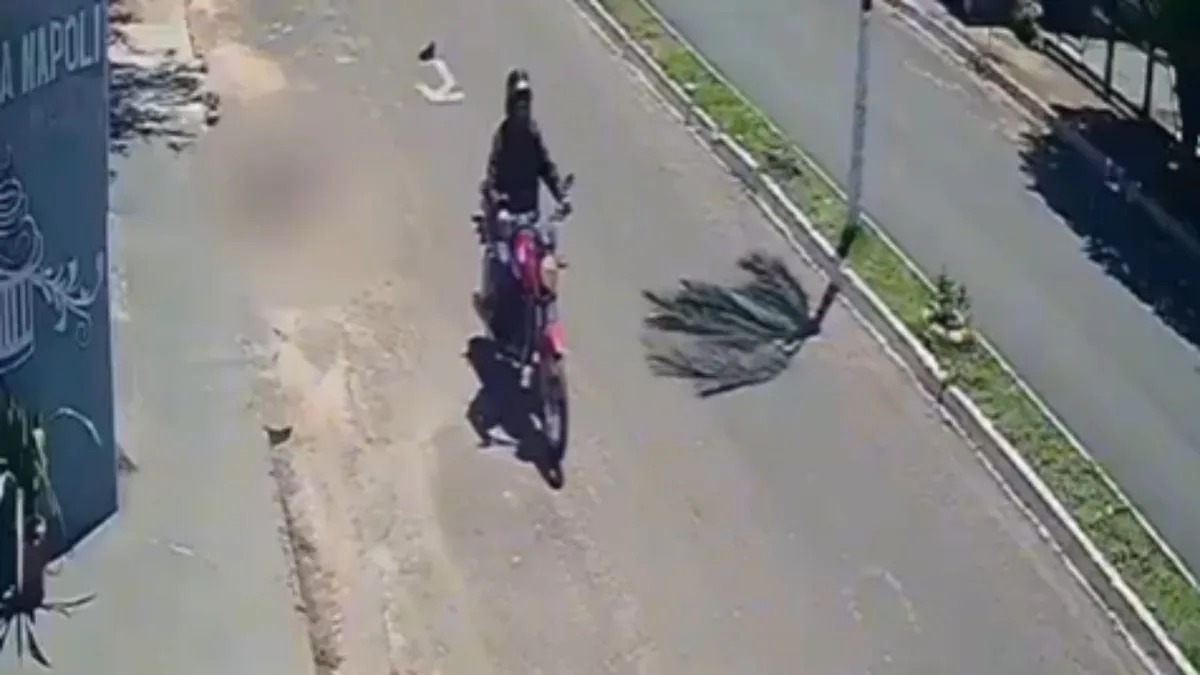 VÍDEO: homem é preso em MG após matar idoso para roubar dinheiro que vítima havia conseguido para tratar esposa acamada em GO