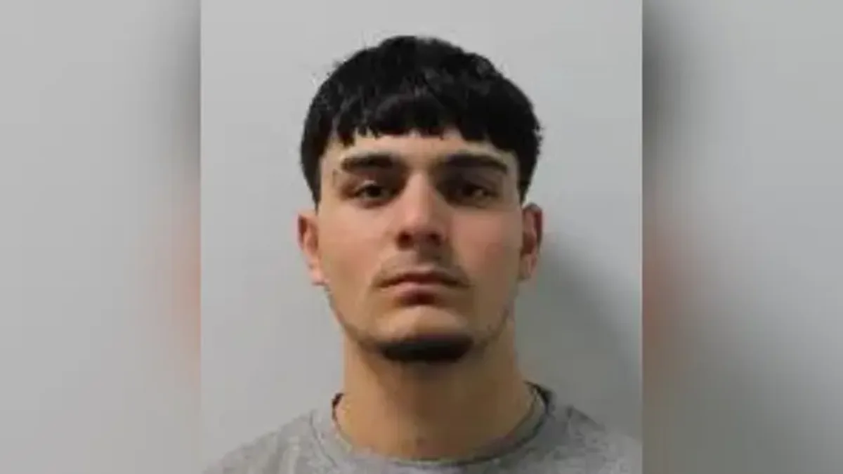 18-year-old Afghan refugee pleads guilty to murdering man in London; accused of stalking cousin's wife