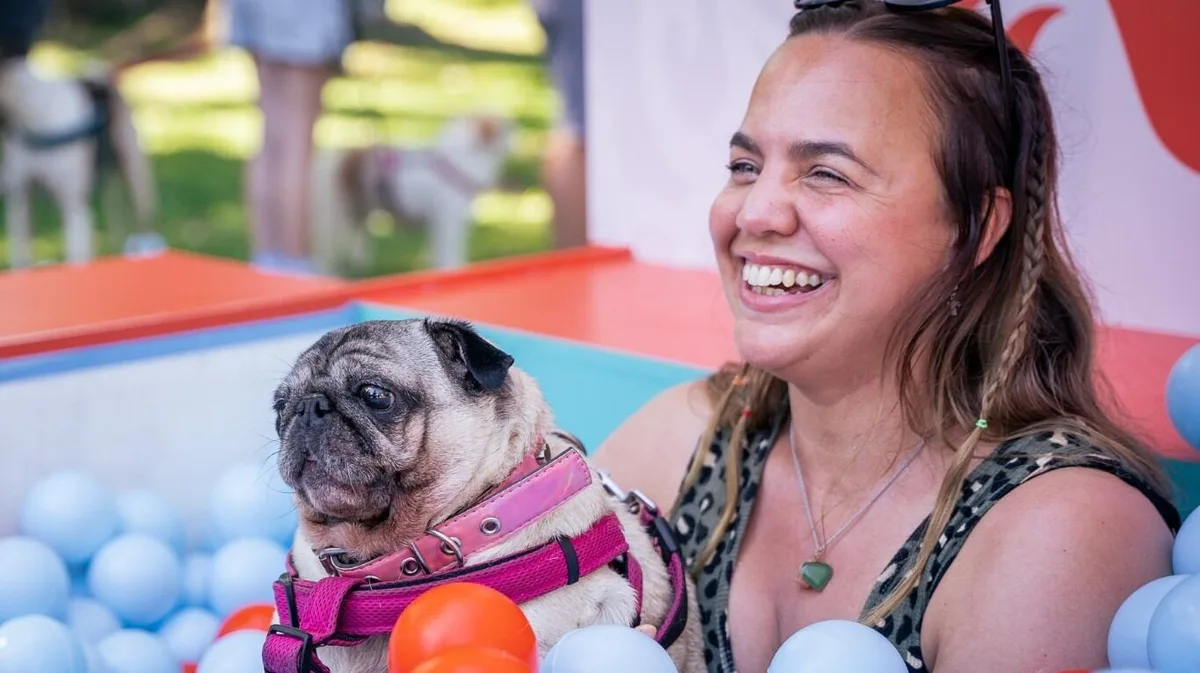 La industria de las mascotas crece en Argentina: hay 19 millones de perros y gatos y el mercado mueve US$3.200 millones