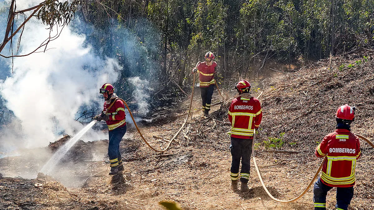 Incêndio de Arganil e Vila Nova de Poiares dominado e em fase de resolução