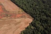 MP denuncia ex-secretária de Meio Ambiente por desmatamento irregular no RN