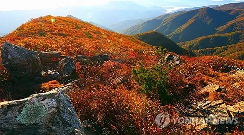 '단풍 구경가자'…연휴 첫날 강원 곳곳 북적·산악사고도 잇따라