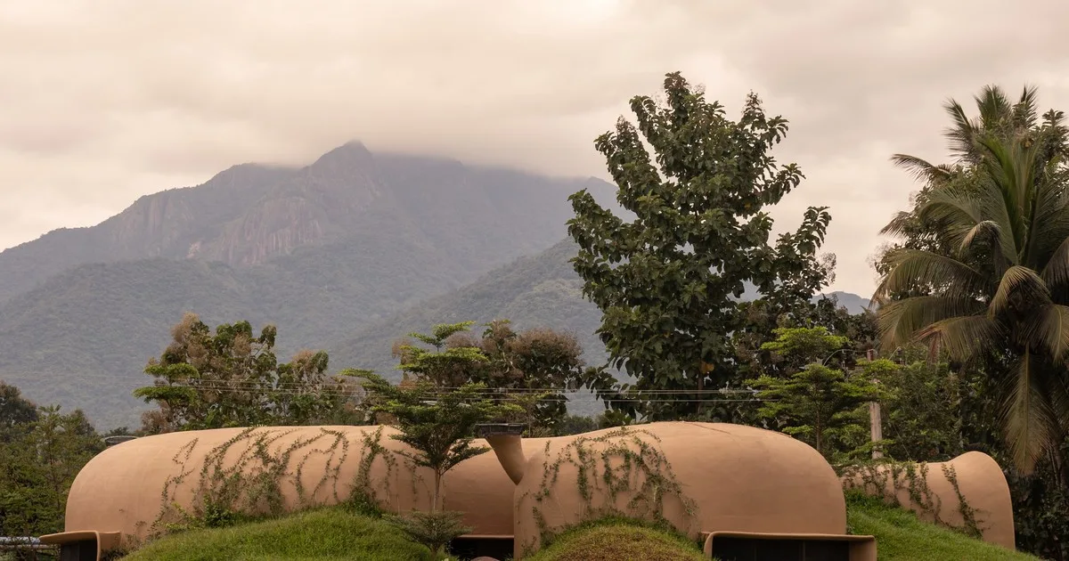 Una casa que parece un caracol de barro entre palmeras