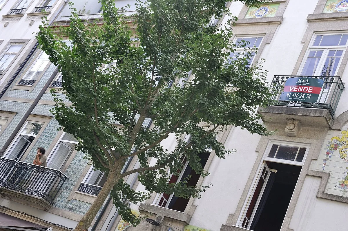 Preços das casas aumentaram 16,5%, mesmo com quebra de 6,4% nas transações