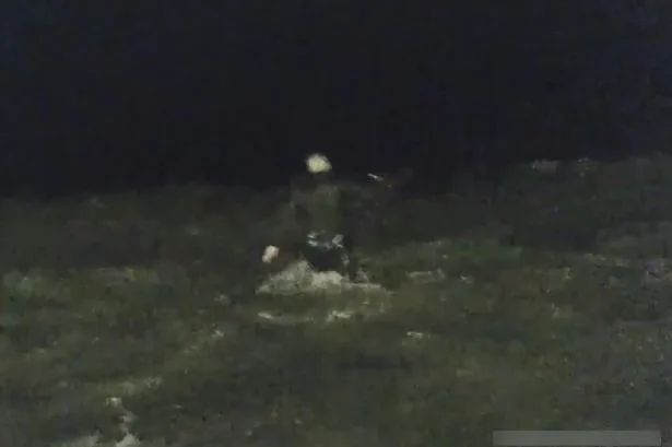 'Brave' police officers wade into sea to catch and arrest paedophile attempting to escape cops
