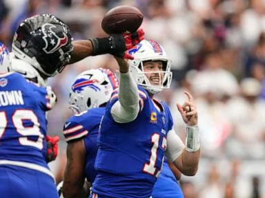 Josh Allen connects with Joshua Palmer for a late TD and Bills beat Texans 36-31 in wild opener