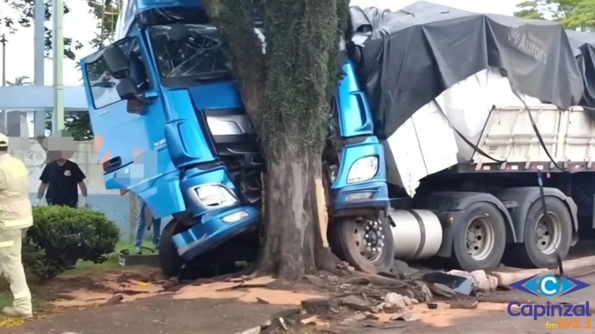 Caminhoneiro de SC passa mal ao dirigir, sai da pista e morre após bater contra árvore no Paraná