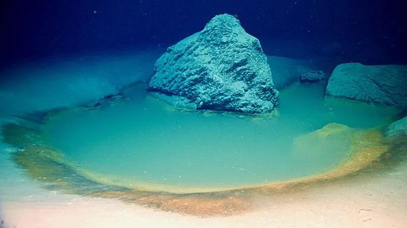 O que revelam estas "piscinas da morte" do Mar Vermelho, segundo estudo