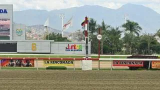 Este es el cuadro sugerido del 5y6 del domingo 16-08-2026 en La Rinconada