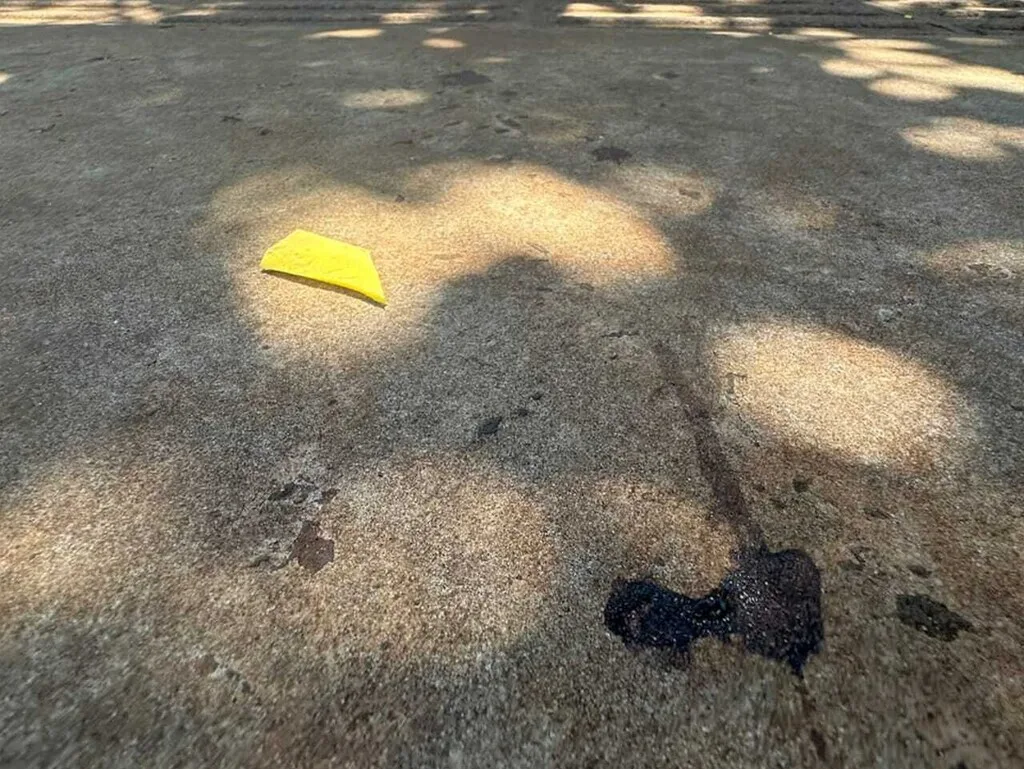 Quase 2 anos depois, acusado de matar primo por fofoca é absolvido