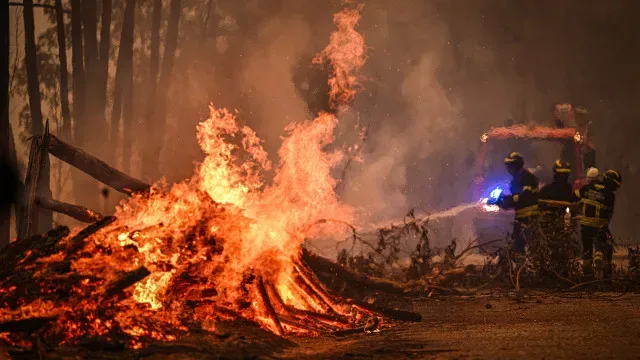 Fogos: Médio Tejo com taxa de sucesso de 99,6% no ataque inicial em 2026