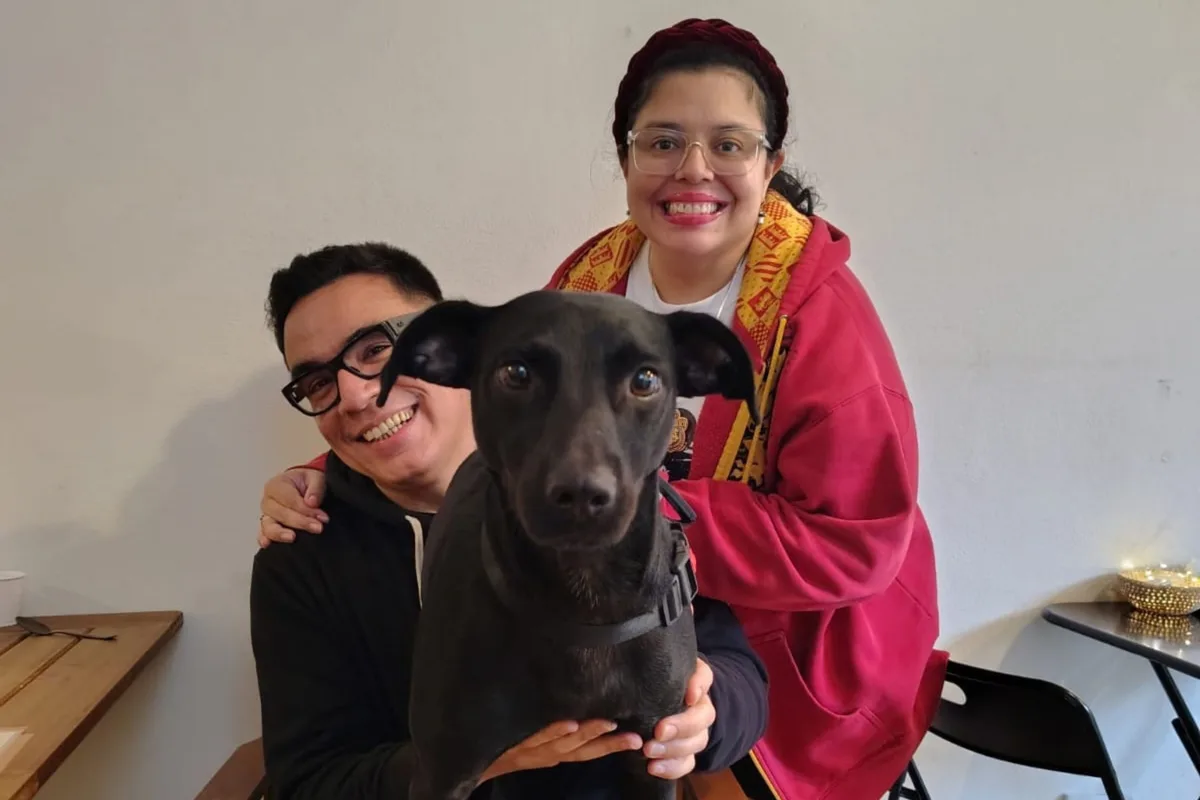 La historia de Sakura: la encontraron con sus cachorros en una plaza de Almagro y su vida dio un giro conmovedor
